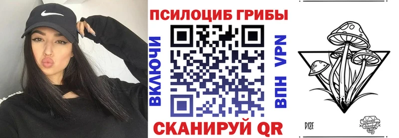 Псилоцибиновые грибы Magic Shrooms  магазин продажи наркотиков  Курган 